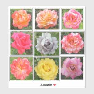 Sortierte feste u. veränderte Rosen-Fotos Aufkleber