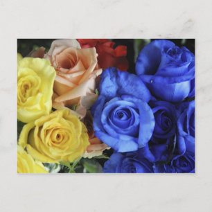 Sortierte frische Rosenbuquets Postkarte