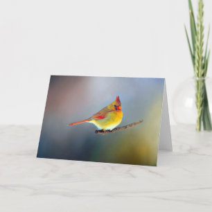 Sortierte Mitteilungskarten