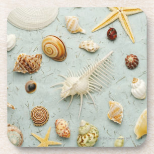 Sortierte Seashells auf blauem Hintergrund Untersetzer
