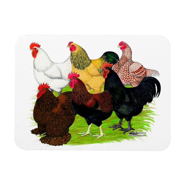 Sortiment für Schwerbrecher Magnet (Horizontal)