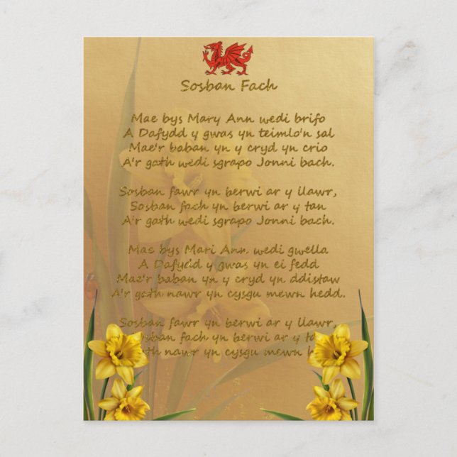 Sosban Fach Welsh Song Postkarte (Vorderseite)