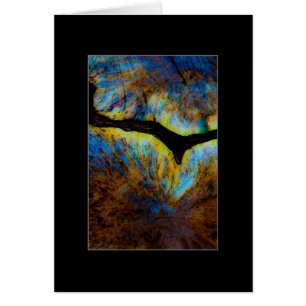 Souche d'arbre Abstrait