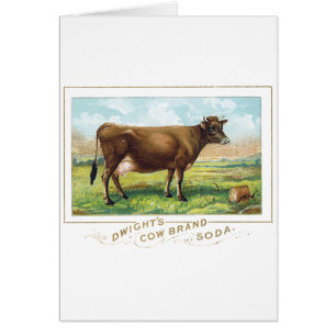 Soude de marque de la vache de Dwight