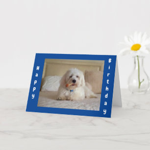 **SOUHAITS DE DOGGIE CUTE** CARTE D'ANNIVERSAIRE D