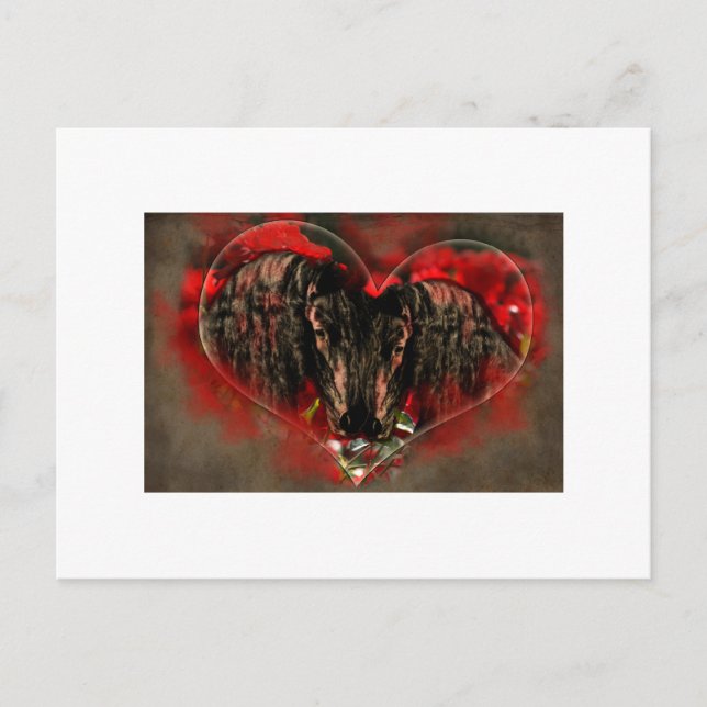 Soul Mates - Postkarte (Vorderseite)