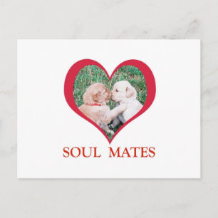 Soul Mates Shirts, Karten, Tasse Postkarte