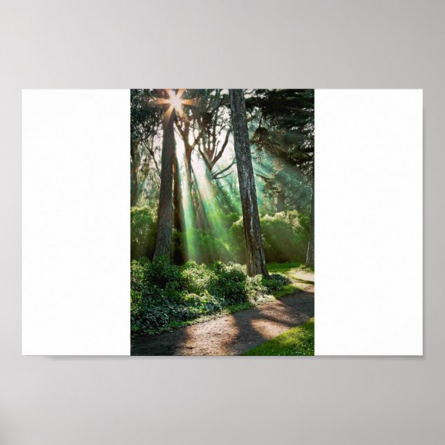 Soul Shine Poster (Vorne)