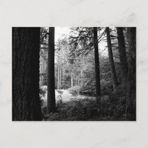 Soulagement monochrome de la carte postale Grosseu