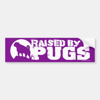 SOULEVÉ PAR CARLINS Bumper Sticker violet