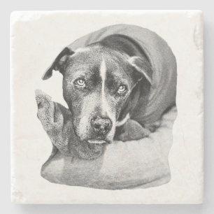 Soulful October Pup Steinuntersetzer