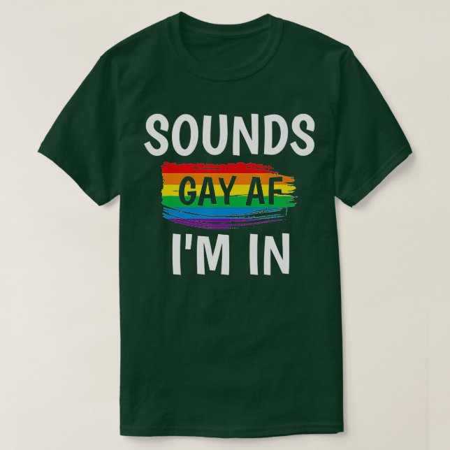 Sounds Gay AF Im Gay Pride Regenbogen Streifen T-Shirt (Design vorne)