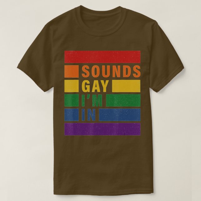 Sounds Gay Im in Funny Rainbow Stolz Support Equ T-Shirt (Design vorne)