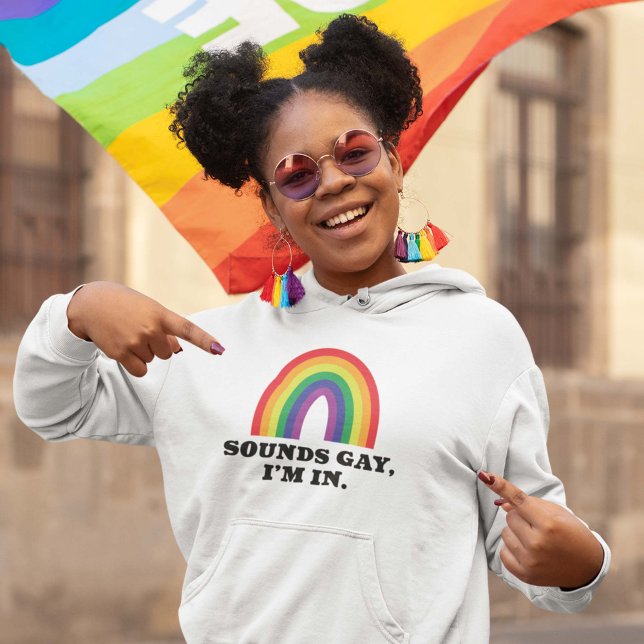 Sounds Gay I'm In Hoodie (Gay Pride Women's Hoodie)