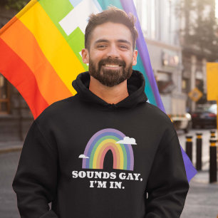 Sounds Gay I'm In Hoodie