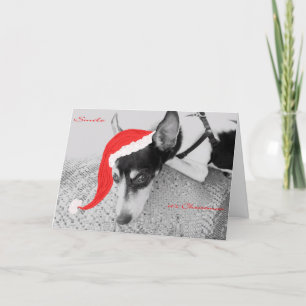 Souriez, c'est Noël, Carte avec Rat Terrier