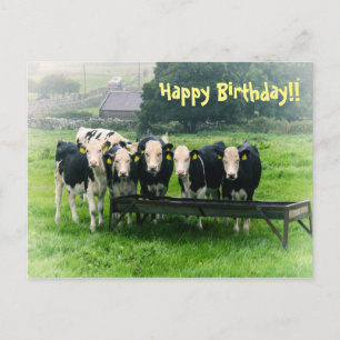 Souriez s'il vous plaît ! Vaches mignonnes Carte p