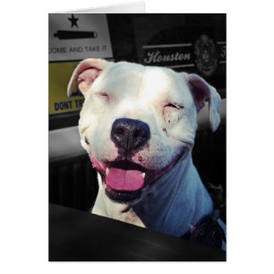 Sourire