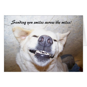 Sourires à travers la carte de milles