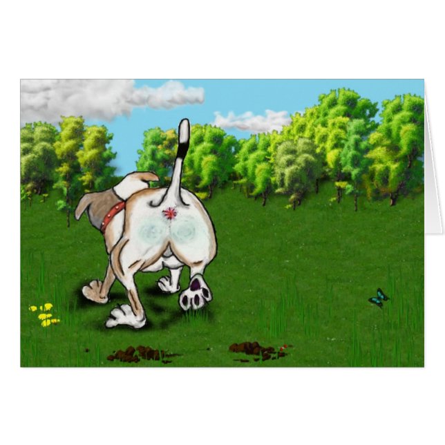 SOURIRES de STAFFIE - les fonds (Devant horizontal)