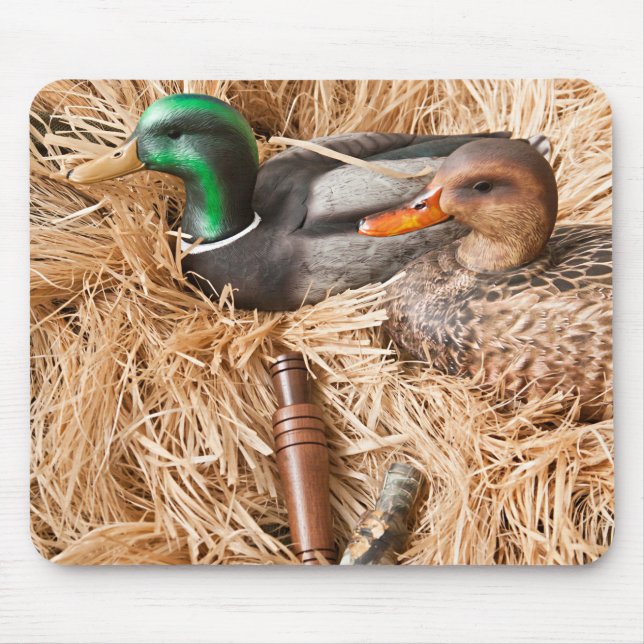 Souris Appel Mallard Drake de canard chassant le tapis de (Devant)