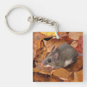 Souris de cerfs en automne laisse Porte - clé acry