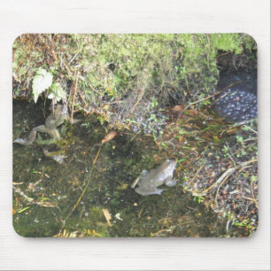 Souris Grenouilles et frai de grenouille dans un tapis de