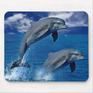 Souris Les dauphins sautant pour la joie sur un tapis de