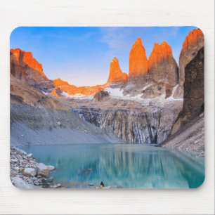 Souris Parc national de Torres Del Paine, Chili. Tapis de