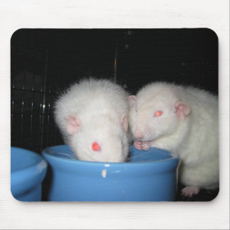 Souris Pas un tapis de souris…