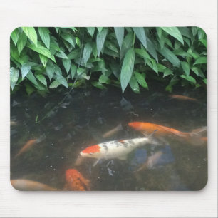 Souris Poissons frais de Koi de nature dans le tapis de