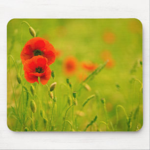 Souris Tapis de souris, Printemps et fleurs de coquelicot