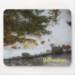 Souris Tapis de souris-Yellowstone Coyote