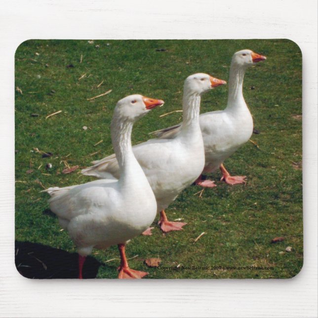 Souris Trois oies a Strutting - Tapis de souris. Personna (Devant)