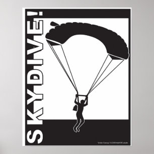 Sous la canopée SkyDive ! Affiche