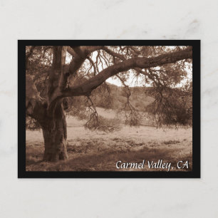 Sous la carte postale de Oaks