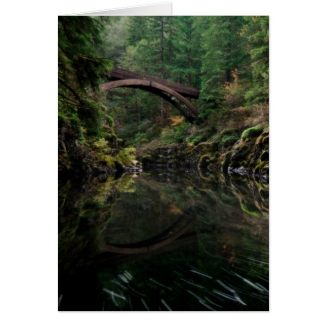 Sous le pont (Devant)