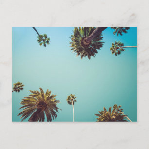 Sous les palmiers, carte postale de voyage photo