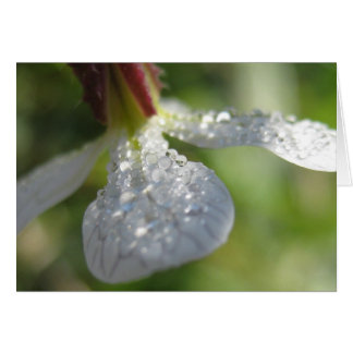 Sous ma carte parapluie