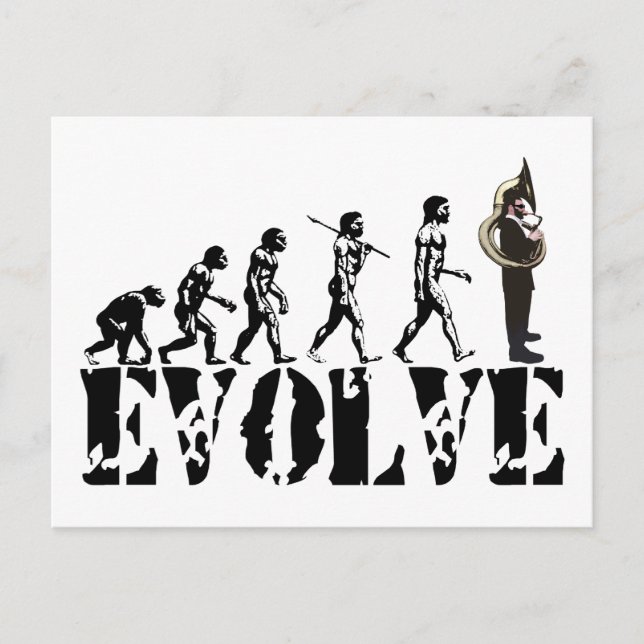 Sousaphone Tuba Tubas Evolution Musikalische Kunst Postkarte (Vorderseite)
