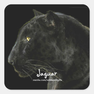 South American Black Jaguar Wildlife Collector Quadratischer Aufkleber