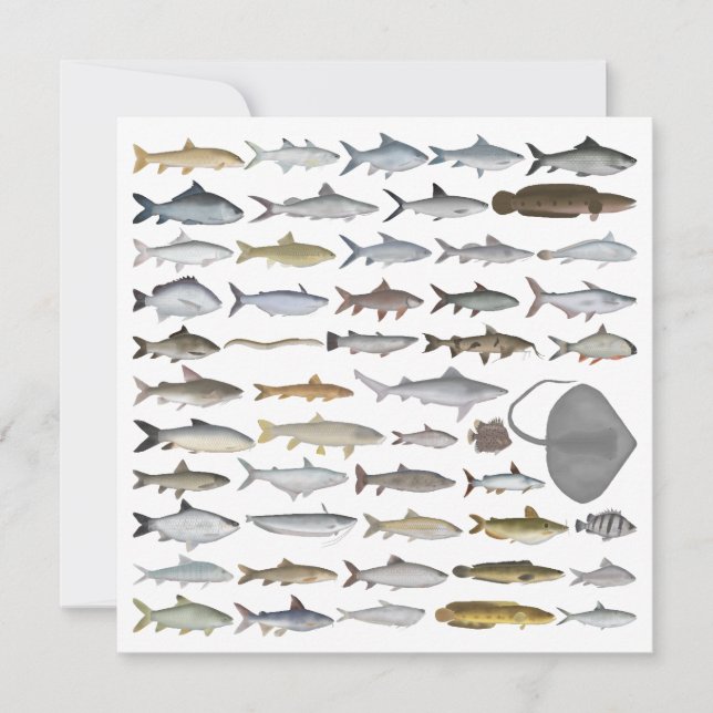 South Asia Freshwater Fish Group Mitteilungskarte (Vorderseite)