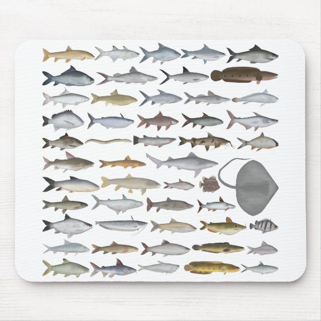 South Asia Freshwater Fish Group Mousepad (Vorne)