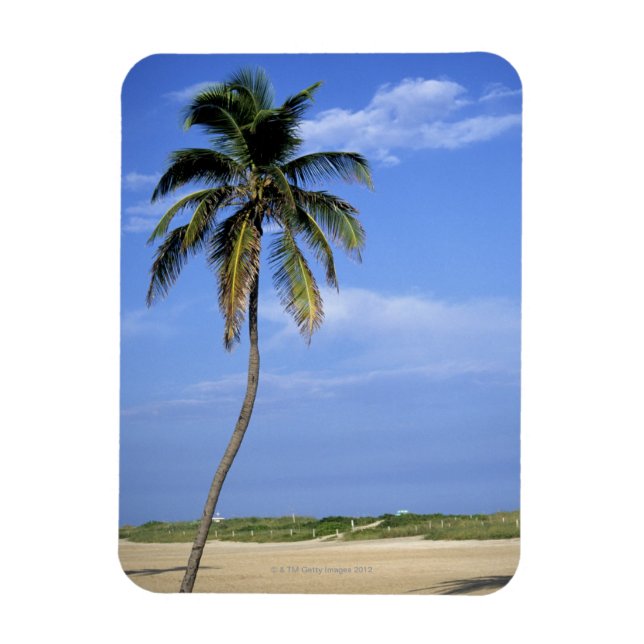 South Beach, Miami Beach, Florida, USA Magnet (Vertikal)