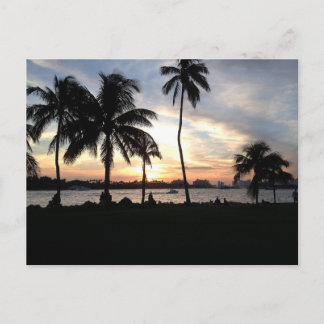 South Beach, Miami Palm Trees bei Sunset Postcard Postkarte