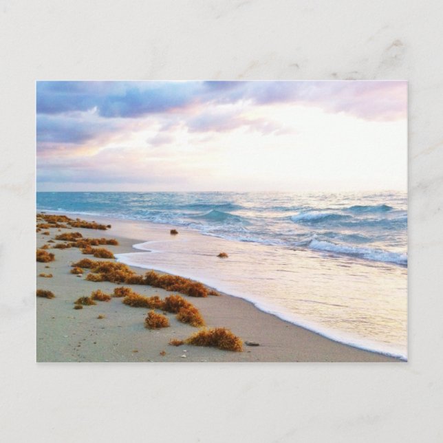 South Beach Miami Postkarte (Vorderseite)