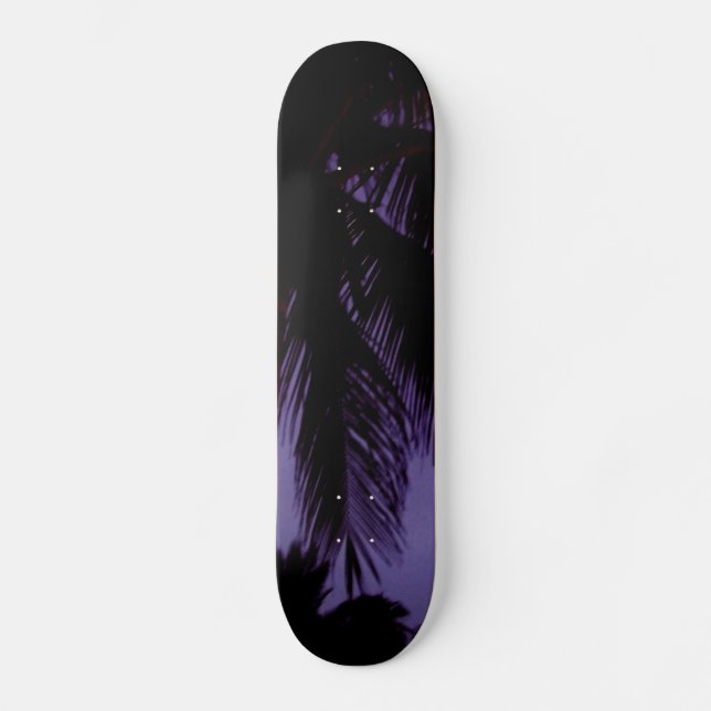South Beach Miami Skateboard (Vorderseite)