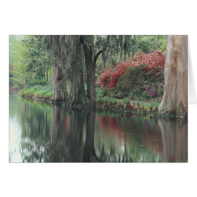 South Carolina, Charleston (Vorderseite (Horizontal))