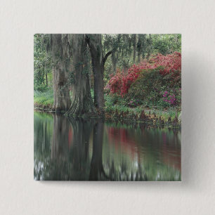 South Carolina, Charleston Button