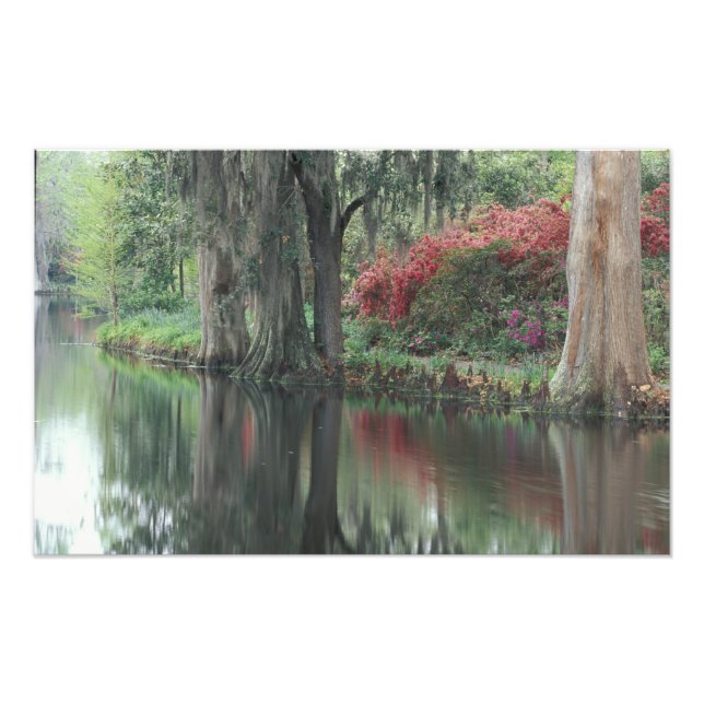 South Carolina, Charleston Fotodruck (Vorne)